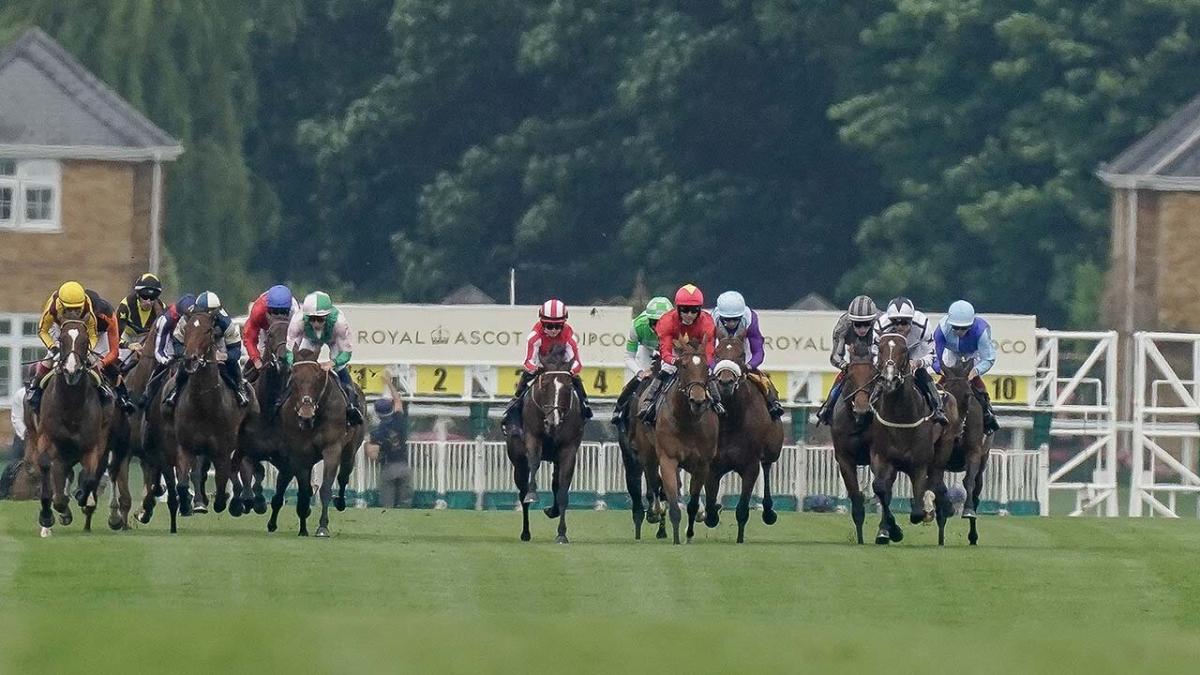 More Royal Ascot action this Friday